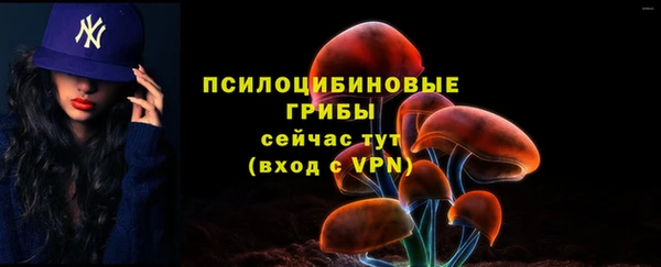 твердый Баксан