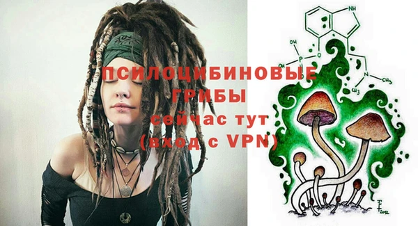 ешки Балахна