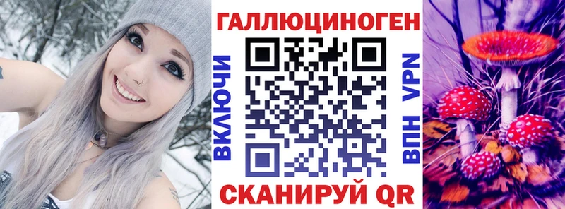 наркошоп  Купино  Псилоцибиновые грибы мицелий 